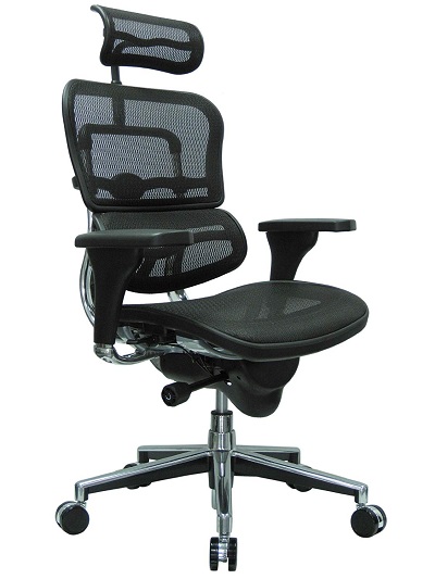 Ergohuman High Back Swivel Chair With Headrest 